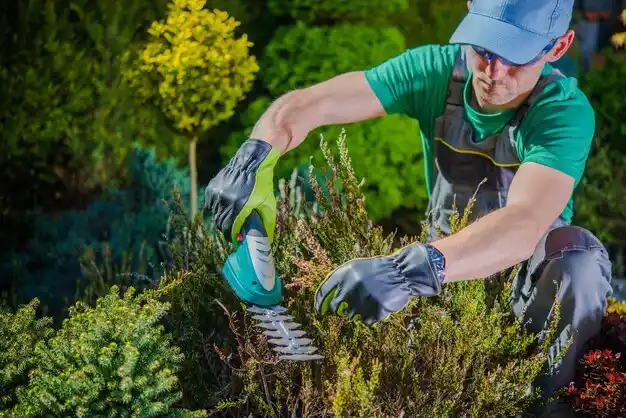 landscaping services Warren